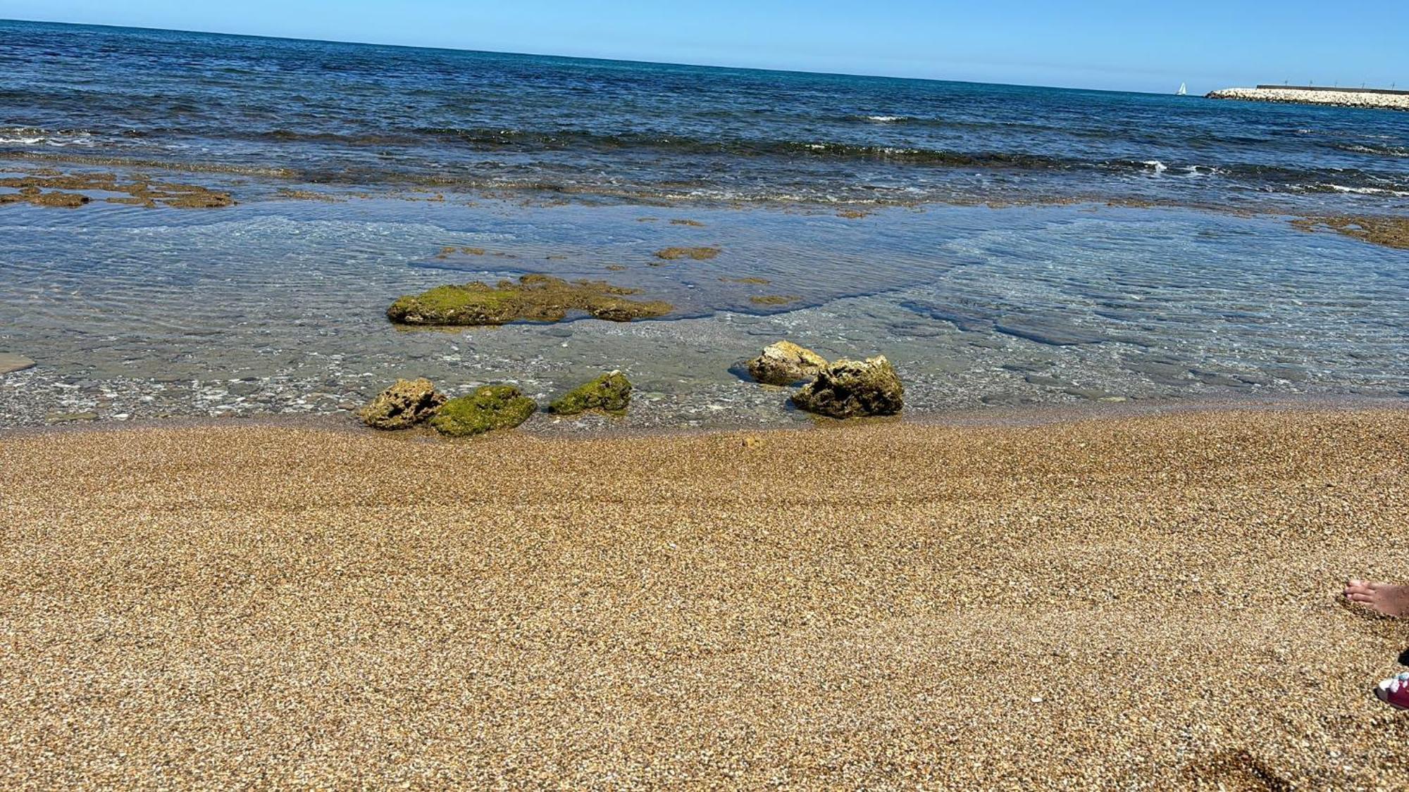 Lu Mari Case Vacanze Balestrate Extérieur photo